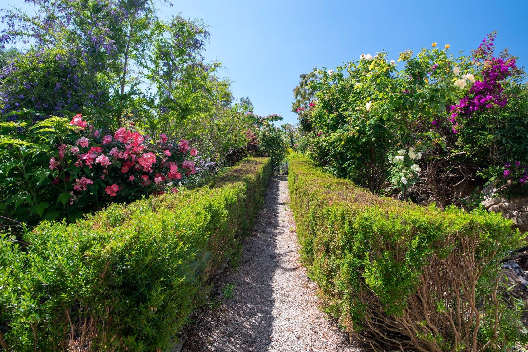 Sardinia Re - Fioretta Flowers Apartment *