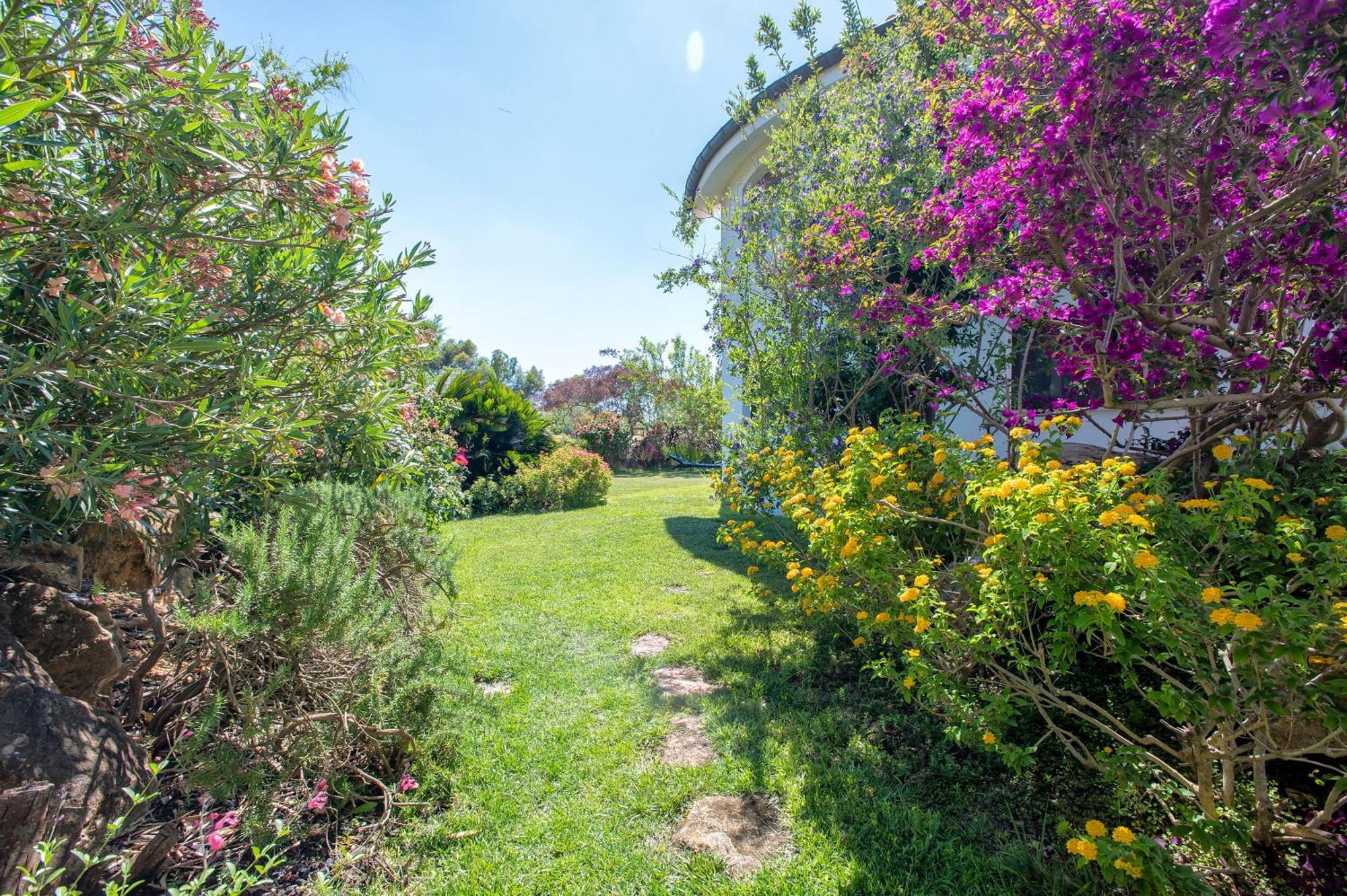 Apartment Sardinia Re - Fioretta Flowers Olmedo